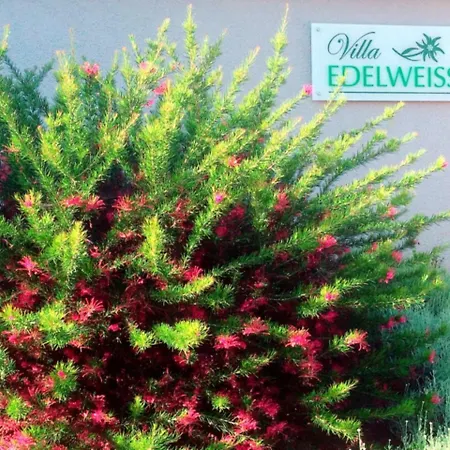 Edelweiss Villa Veprinac
